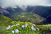 Azzorre, Isola di Faial - La Caldeira. 